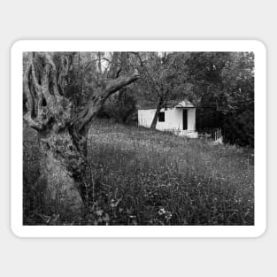 Olive Grove Chapel black and white Sticker